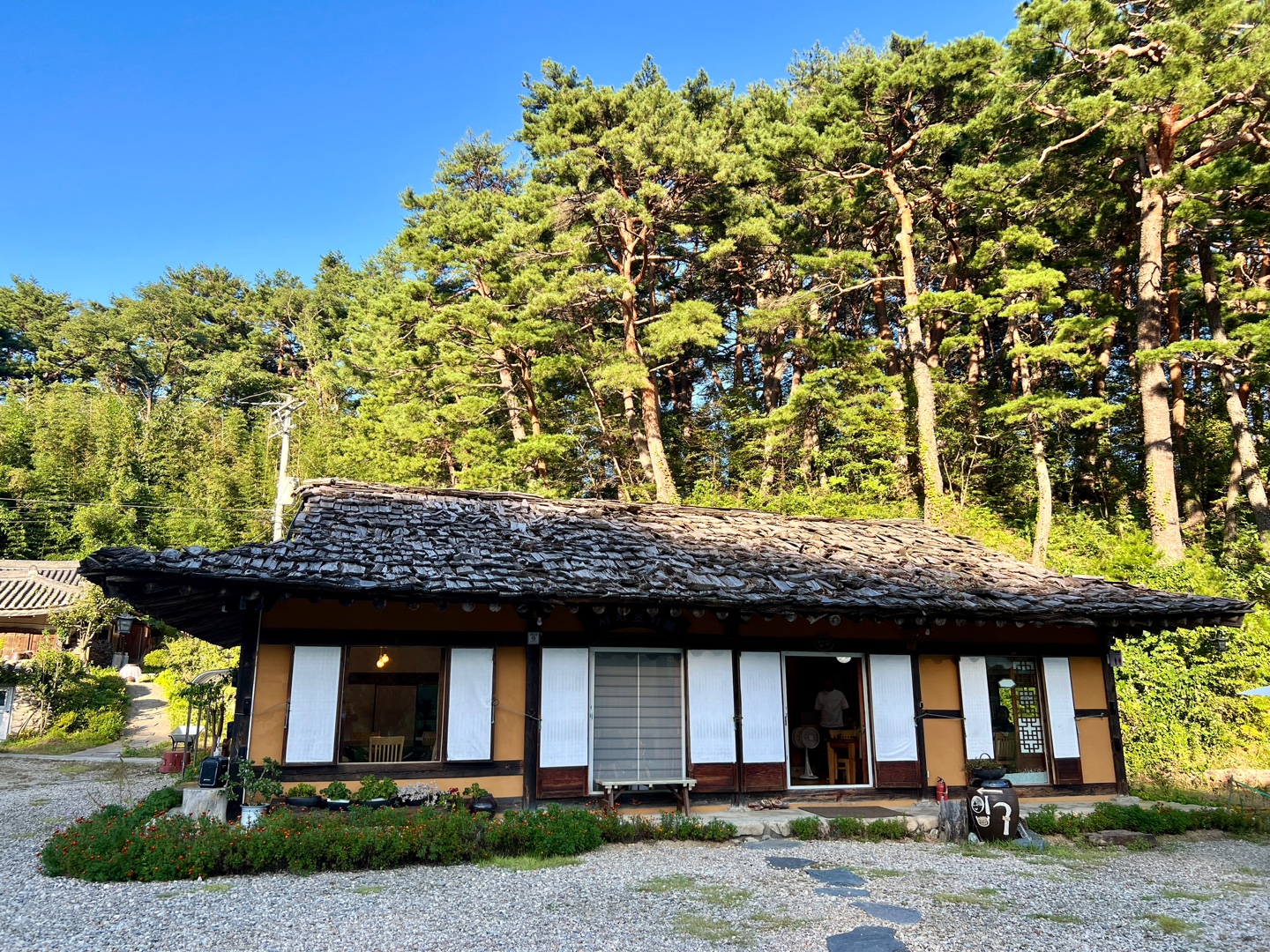 강릉 서지초가뜰, 한옥 카페에서 맛보는 전통 떡과 꽃차 5 강릉 서지초가뜰, 한옥 카페에서 맛보는 전통 떡과 꽃차