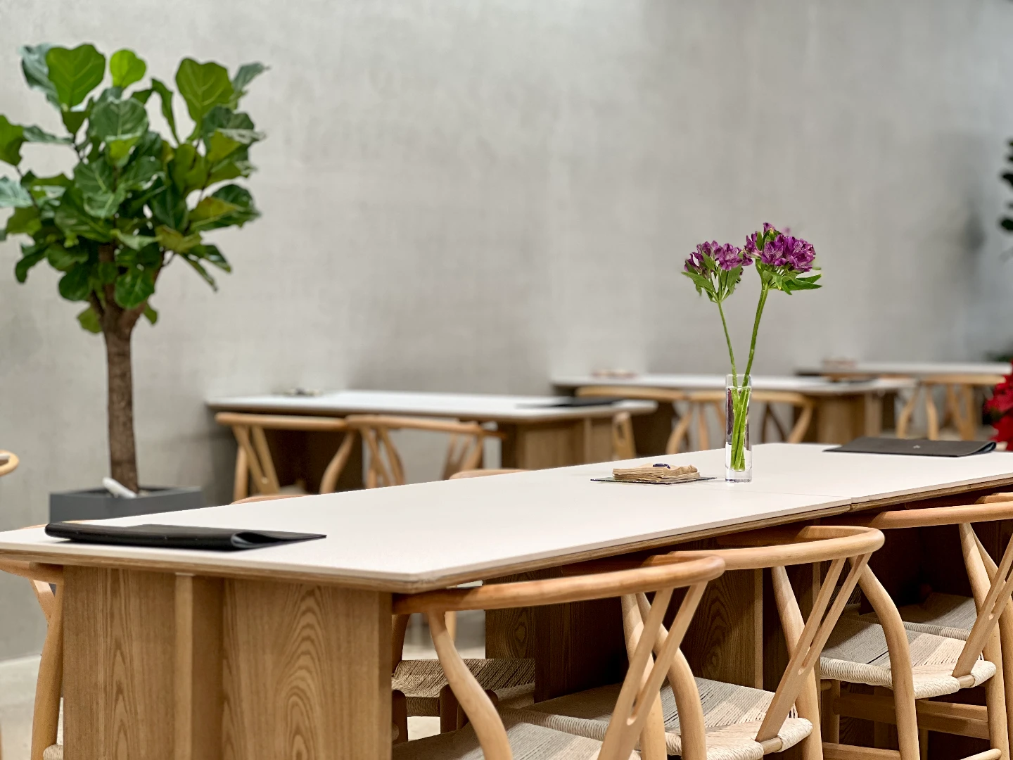 강릉 하루키친, 일본 츠지 요리학교 출신 셰프의 맛집 29 강릉 하루키친, 일본 츠지 요리학교 출신 셰프의 맛집