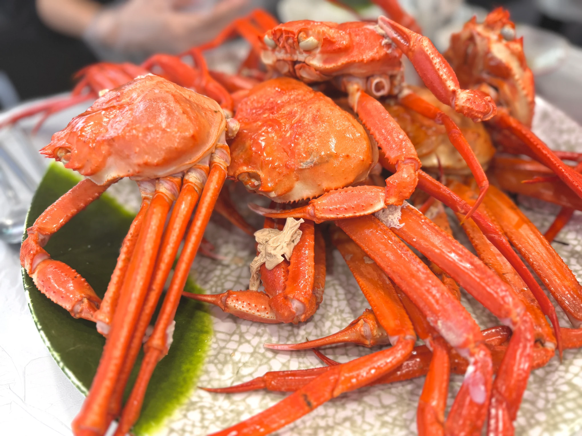 승진호 홍게 무한리필, 저렴한 가격에 맛있는 홍게를 무한리필로 먹을 수 있는 곳 29 승진호 홍게 무한리필, 저렴한 가격에 맛있는 홍게를 무한리필로 먹을 수 있는 곳