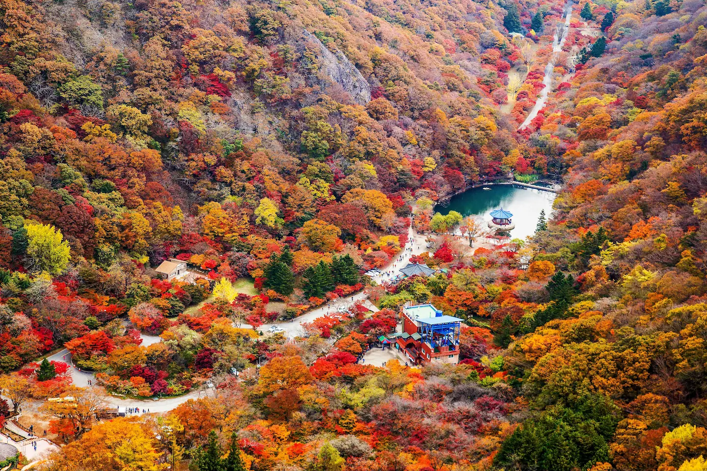 11월 국내 여행지 추천 5곳, 단풍과 가을 감성 제대로 즐기기 22 11월 국내 여행지 추천 5곳, 단풍과 가을 감성 제대로 즐기기
