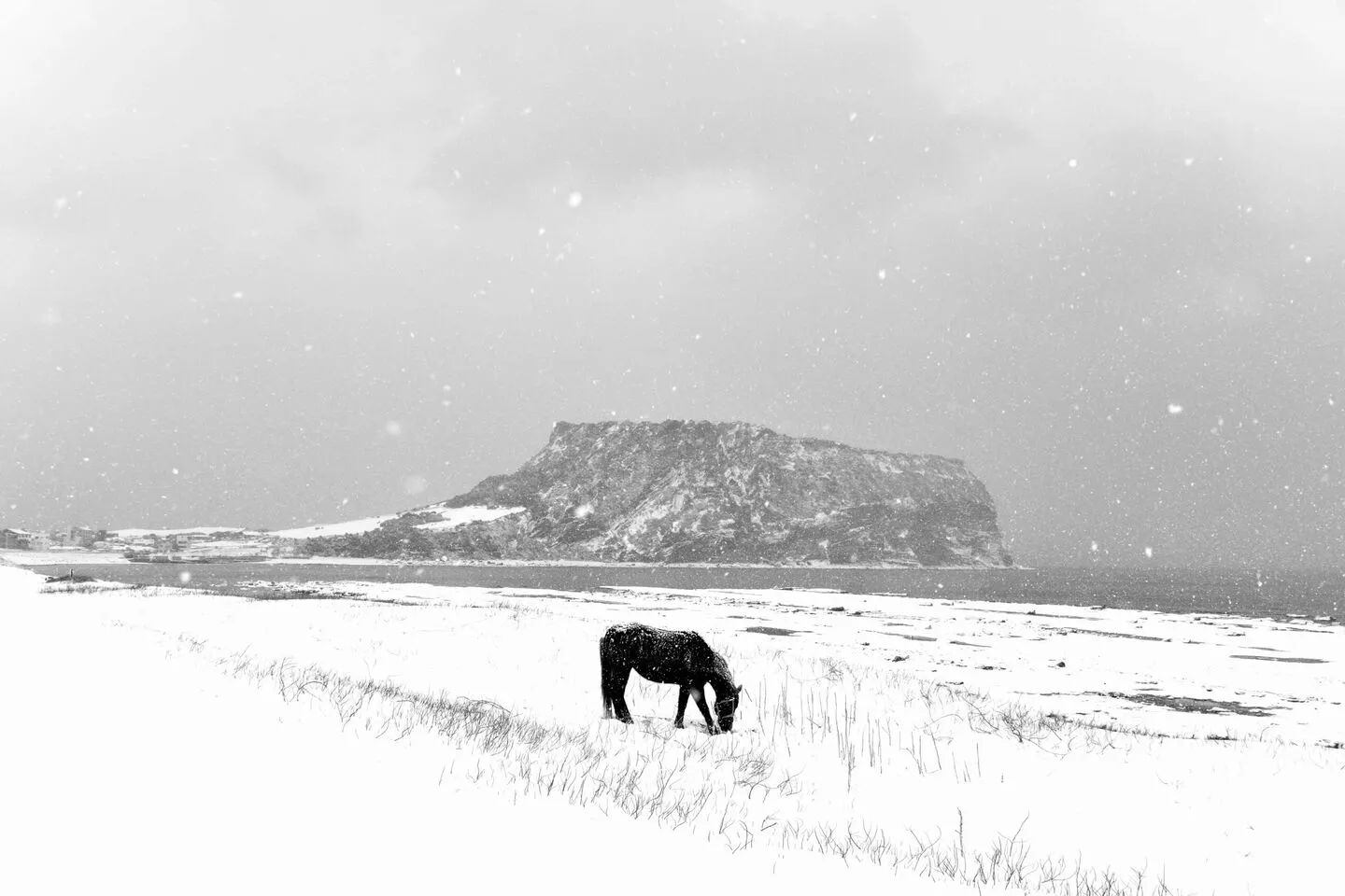 제주도 겨울 여행 코스 추천, 낭만과 여유를 담은 2박 3일 여행 1 제주도 겨울 여행 코스 추천, 낭만과 여유를 담은 2박 3일 여행